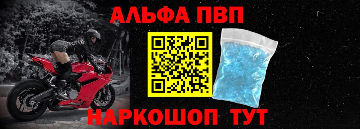 сколько стоит  Альфа ПВП  Вход с VPN  Alfa_PVP СК КРИС  Кизилюрт 