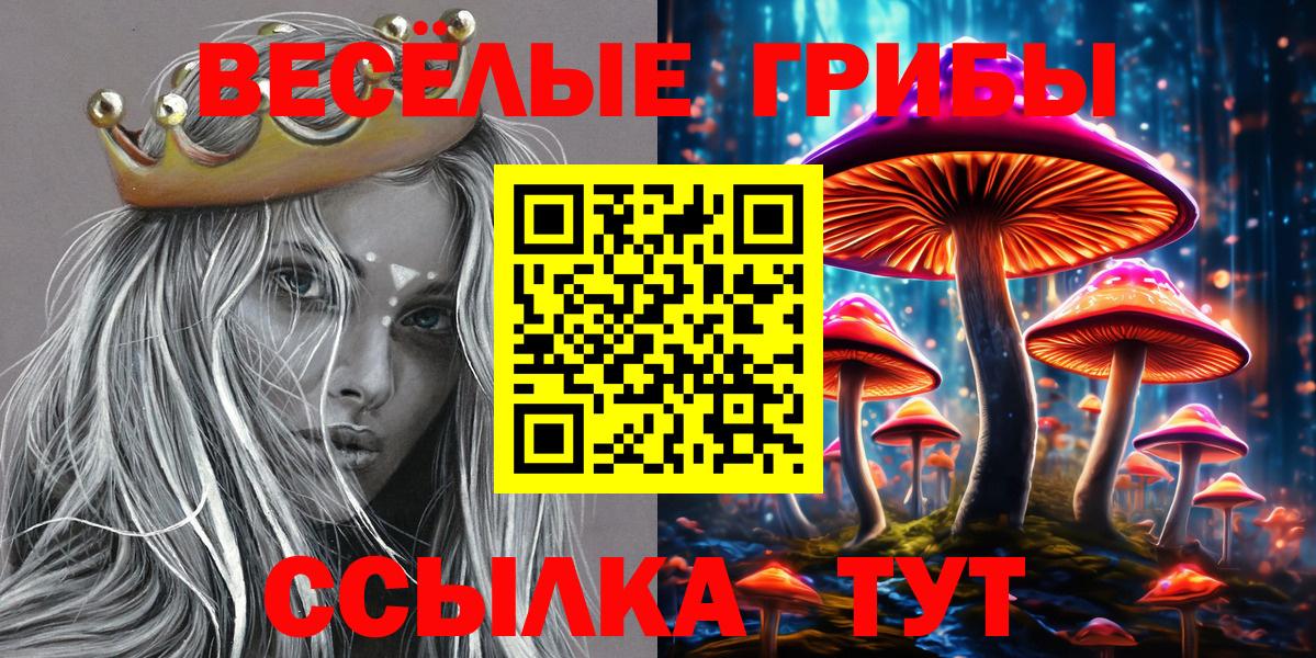 Псилоцибиновые грибы Magic Shrooms  Галлюциногенные грибы MAGIC MUSHROOMS  как найти   Вход с VPN  Кизилюрт 